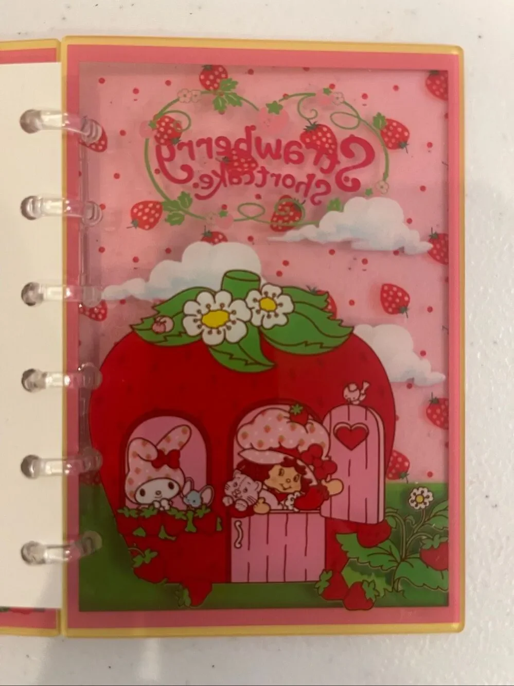 Strawberry Shortcake Acrylic Shaker Notebook